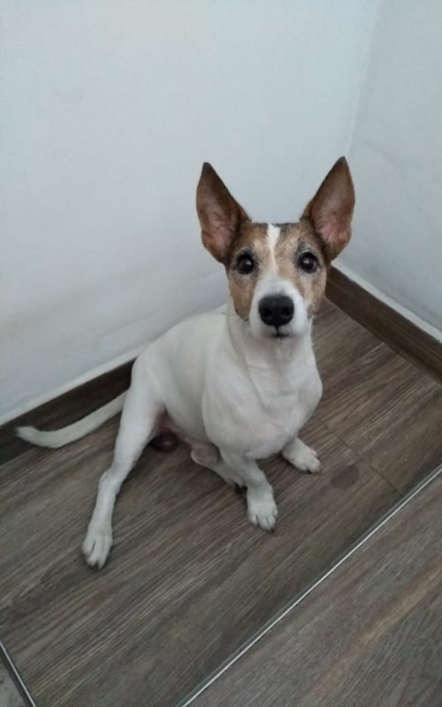 Jack