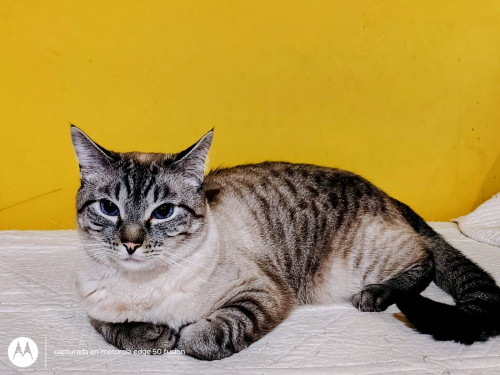 Max