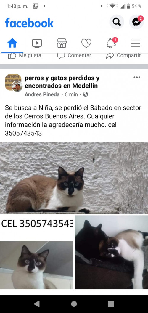 Niña