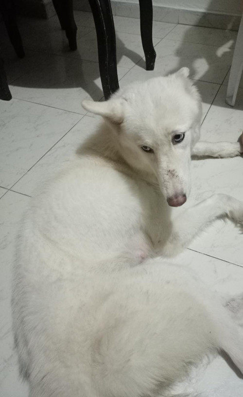 Cloe