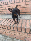 Foto de Niño en  Bogotá #5