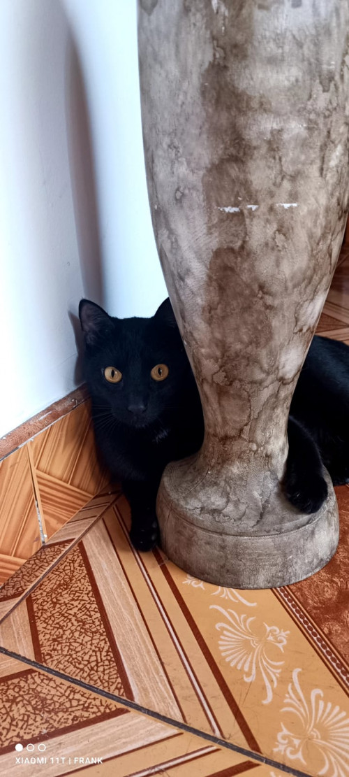 Salem