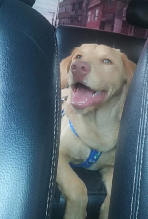 Zeus