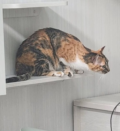 Luna