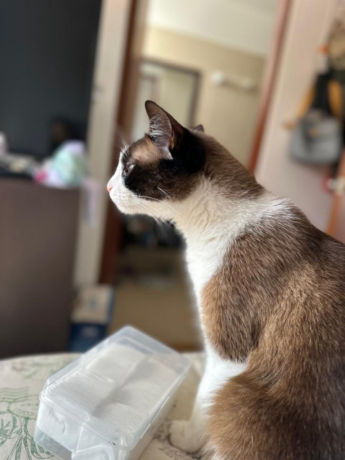 FÉlix