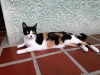 Foto de Iris en Medellín Antioquia #2