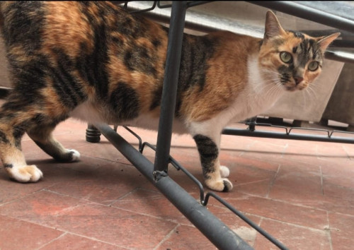Luna
