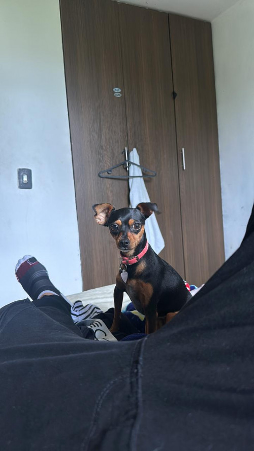 Kicyn