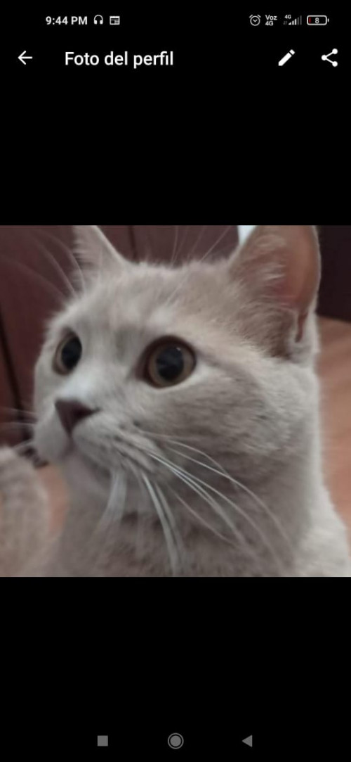 Romeo
