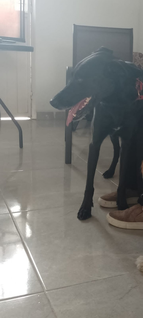 Luna