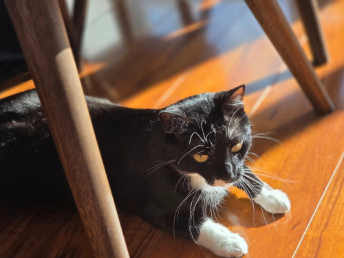 Luna