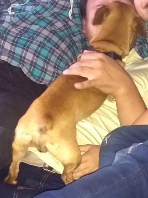 Tomy