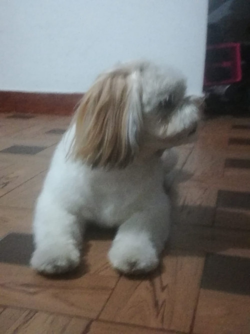 Chouji