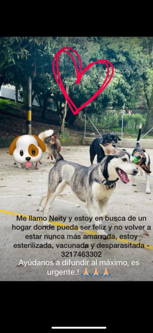 Neity