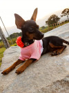 Foto de Kira en Neiva Huila #1