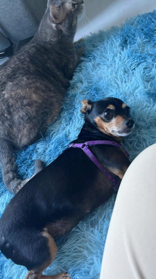 Juanita