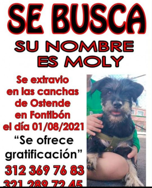Moly