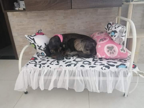 Negra