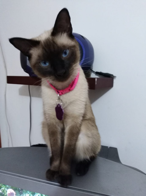 Lalita