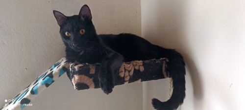 Salem