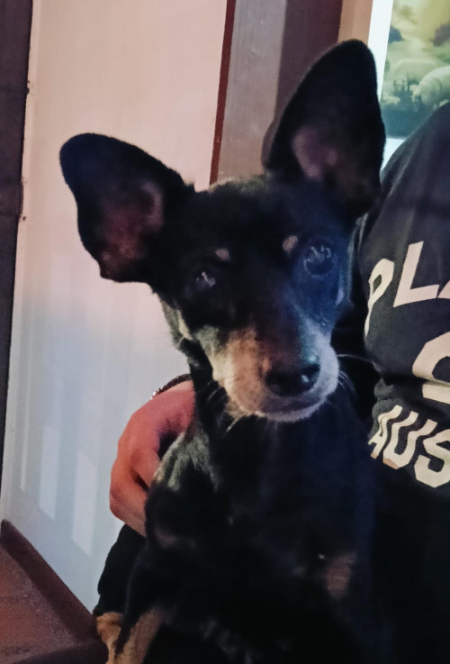 Juanita