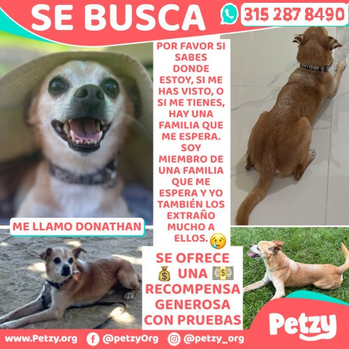 Foto de mascota Donathan