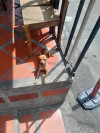 Foto de Cofee en Bello Antioquia #0