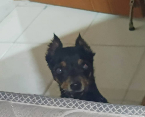 Zeus