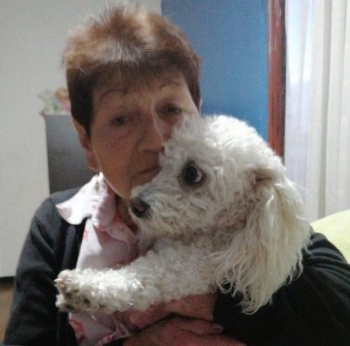 Camilo