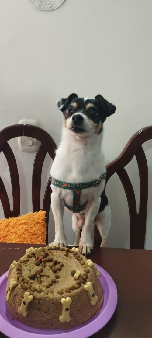 Coki