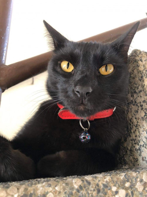 Zeus