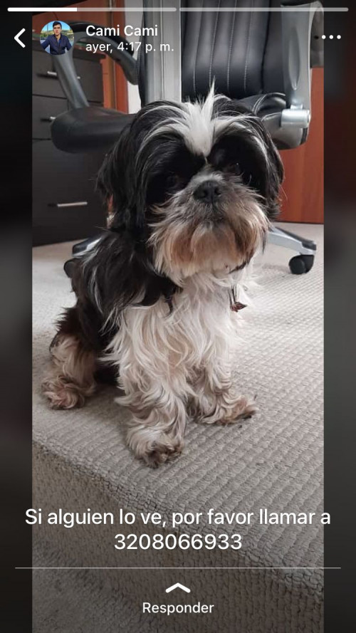 Mateo