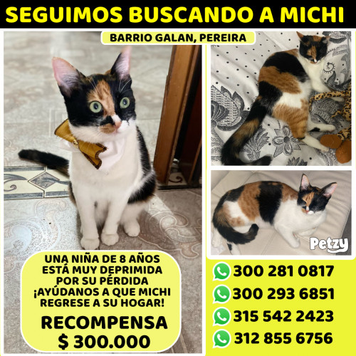 Banner de Michi