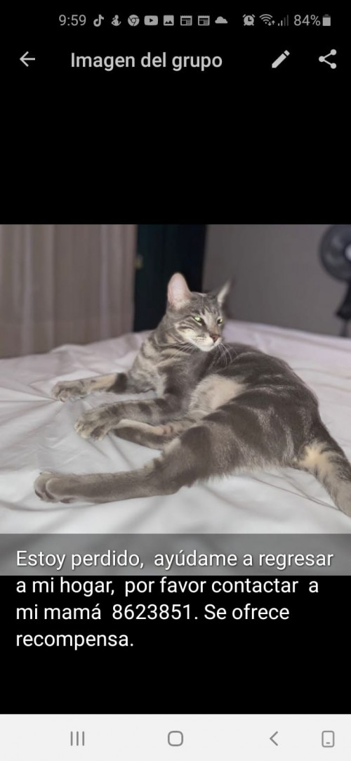 Gregorio