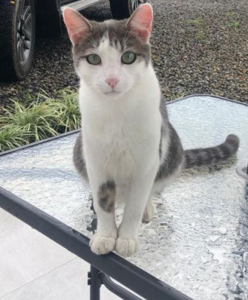Max