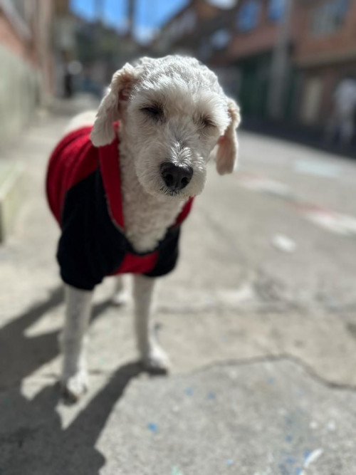 Capitán