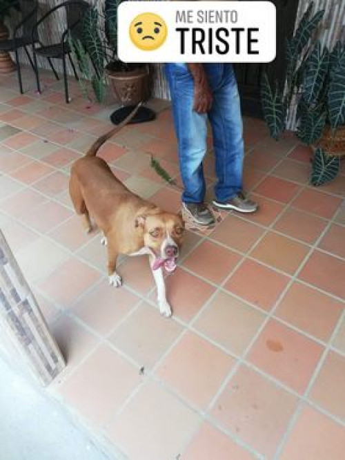 Linda