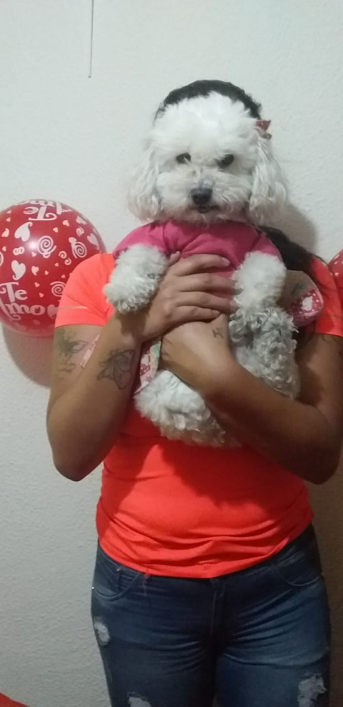Samy