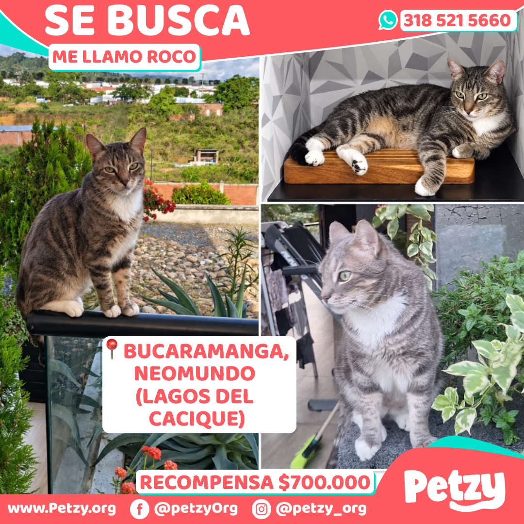 Roco