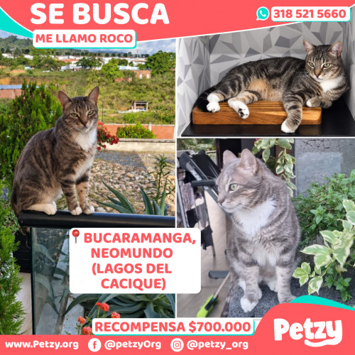 Roco