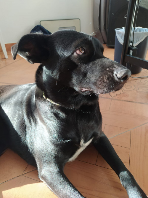 Júpiter