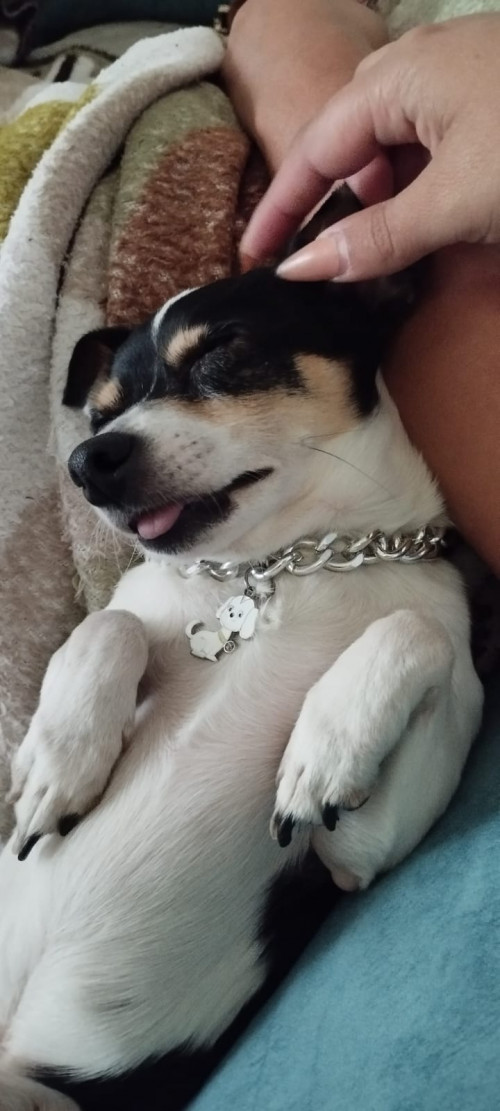 Coki