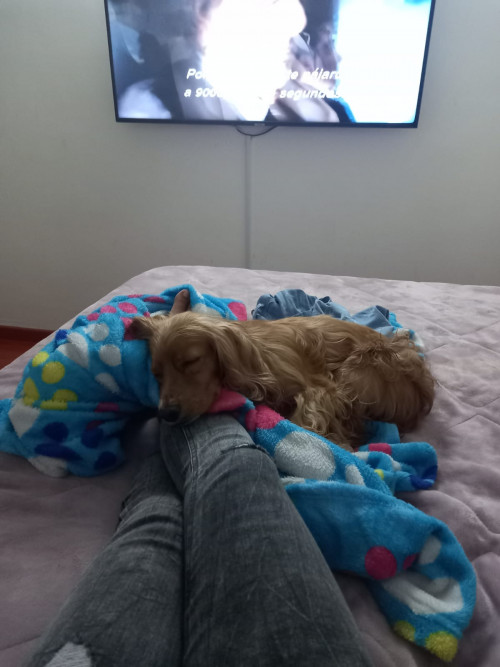 Lola