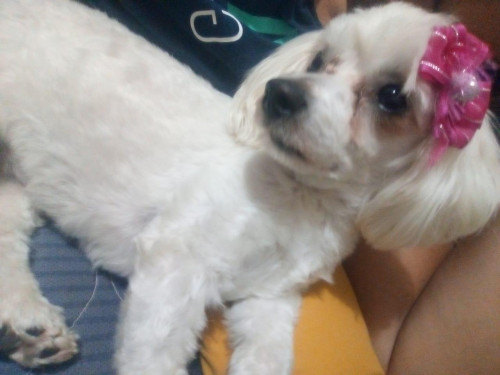Bebé