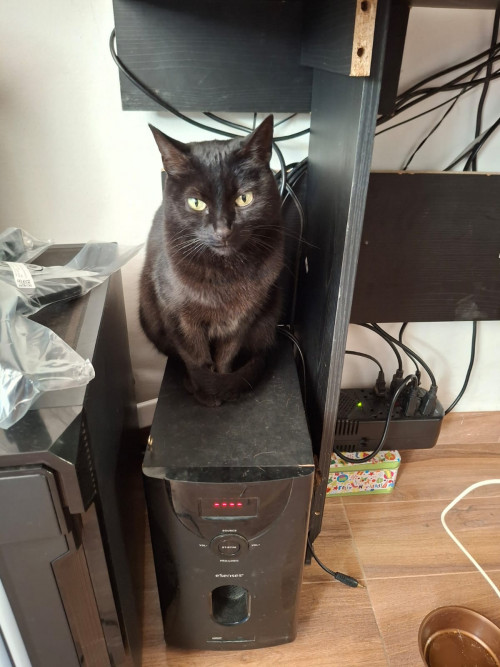 Salem