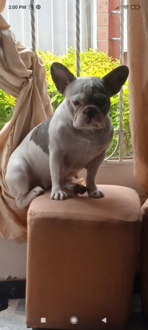 Brenda Y Kurt