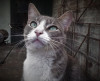 Foto de Darwin en Rionegro Antioquia #0