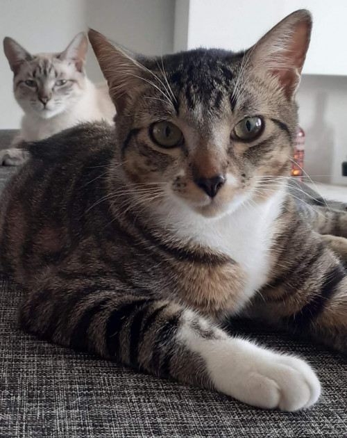 Max