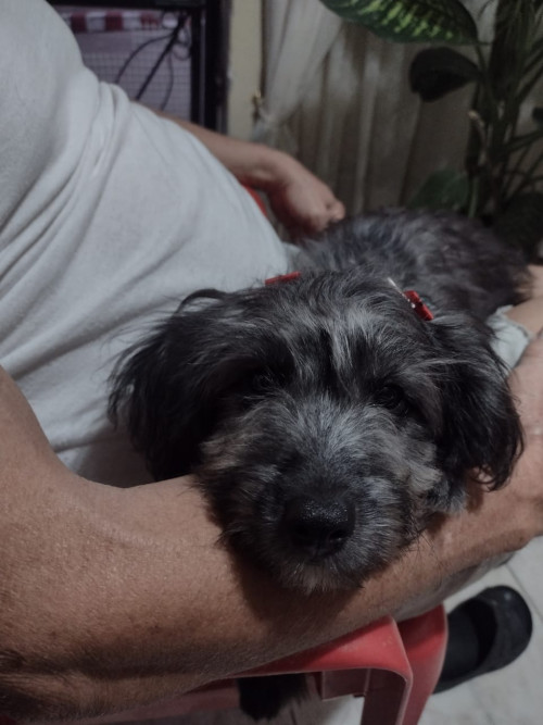 Lupita