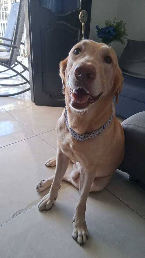 Zeus